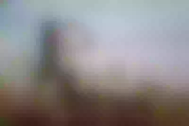 Live sex webcam photo for DaraBeckett #3421648