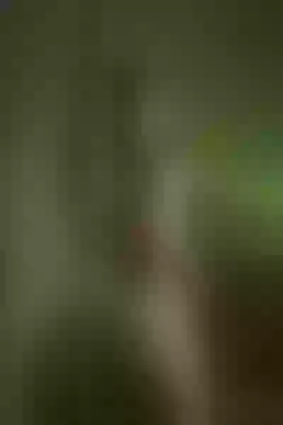 Live sex webcam photo for DaraBeckett #4238777