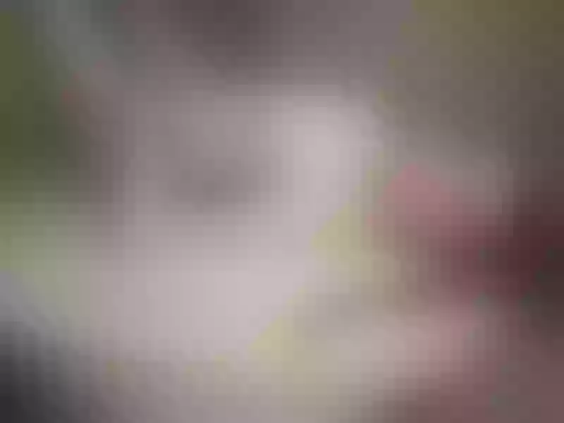 Live sex webcam photo for PollyMoore #2557954