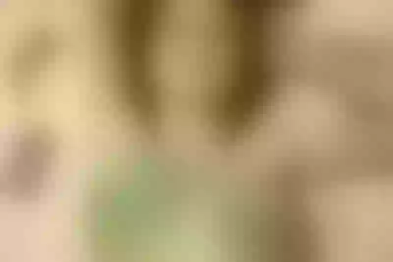 Live sex webcam photo for TRACYI #2363459