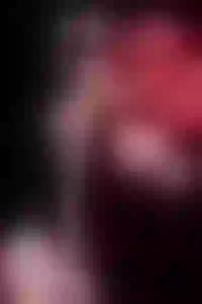 Live sex webcam photo for LaraTyler #4051519