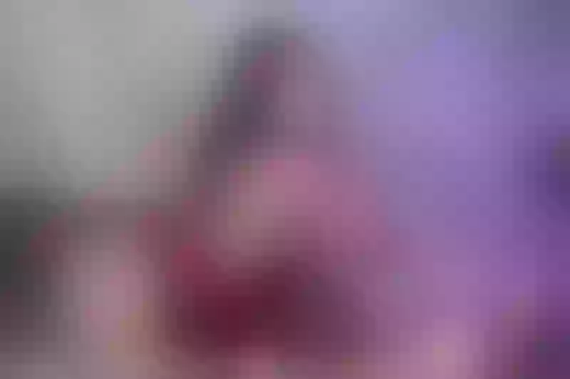 Live sex webcam photo for SeleneStewart #3108193