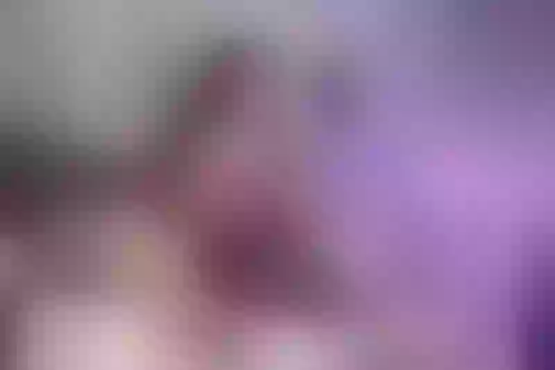 Live sex webcam photo for SeleneStewart #3108195