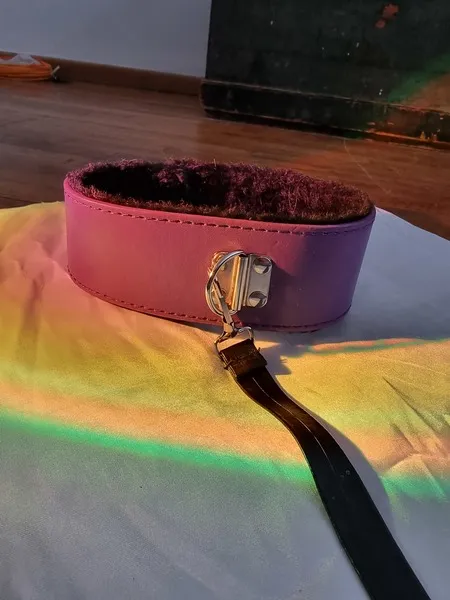 Live sex webcam photo for TopsyWilde #3457420