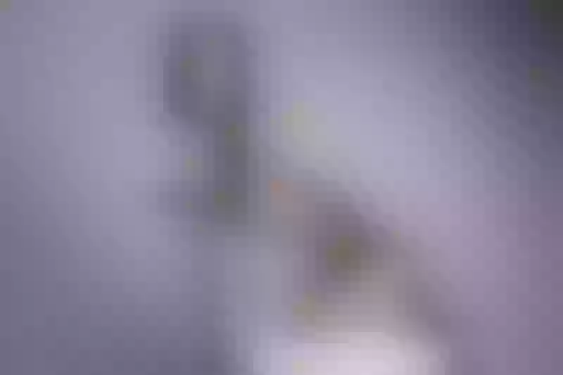 Live sex webcam photo for VivianWalker #2407846