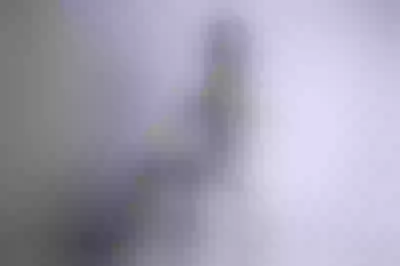 Live sex webcam photo for VivianWalker #2407845
