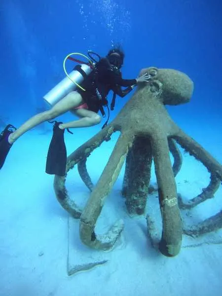 Live sex webcam photo for SophiaMars #2564365