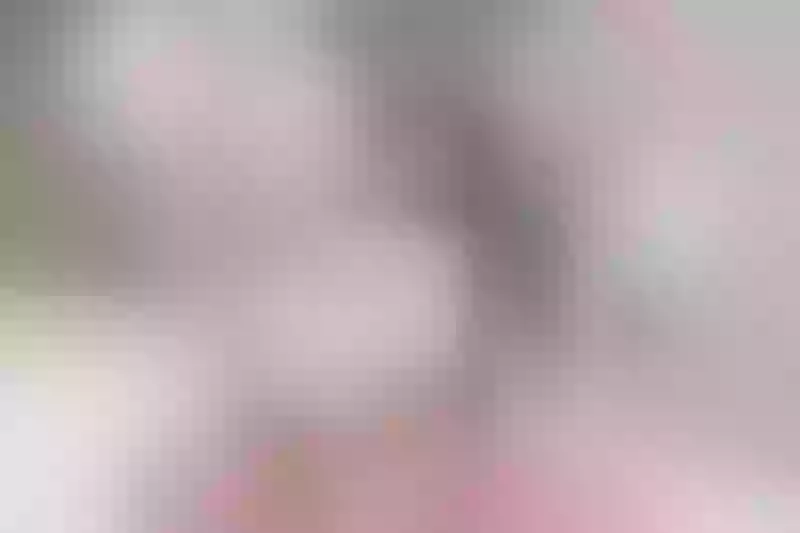 Live sex webcam photo for KimberlyStiwar #2352972