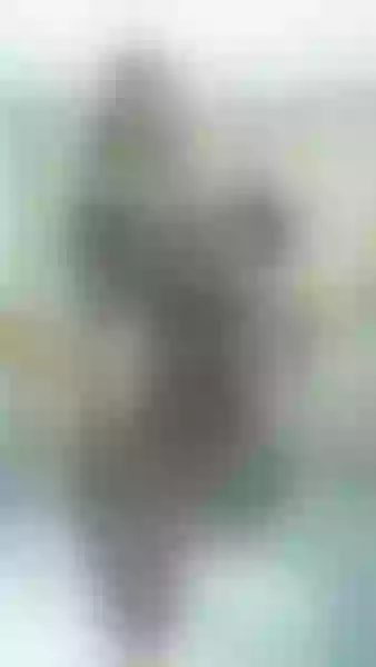 Live sex webcam photo for lizethbrown #2162700