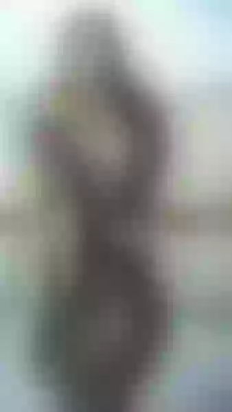Live sex webcam photo for lizethbrown #2162702