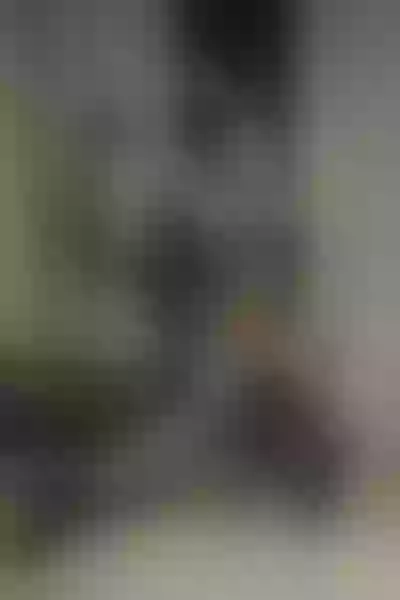Live sex webcam photo for Valorahx #3633933