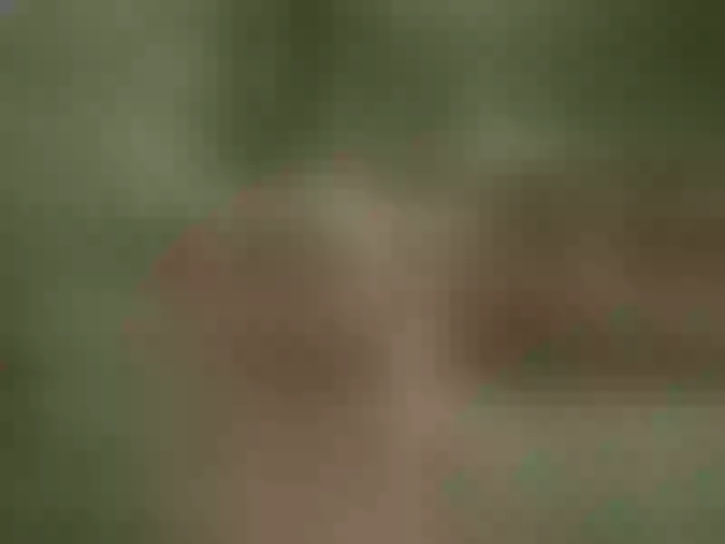 Live sex webcam photo for BrianaJohnson #6053898