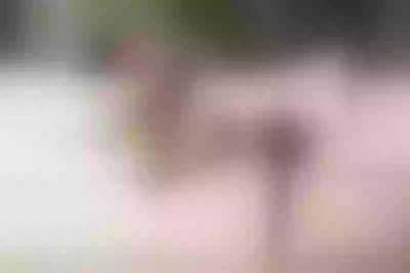 Live sex webcam photo for Lola_Briink #3602572