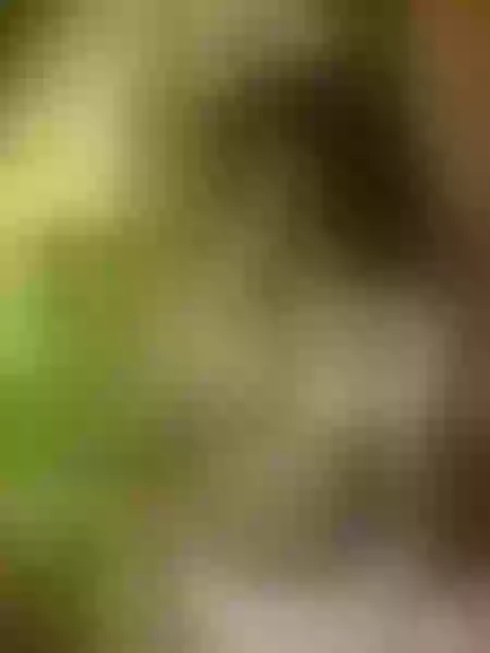 Live sex webcam photo for TyraLewis #2726911
