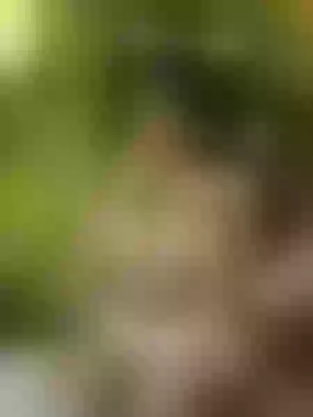 Live sex webcam photo for TyraLewis #2726915