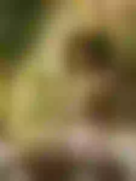 Live sex webcam photo for TyraLewis #2726917