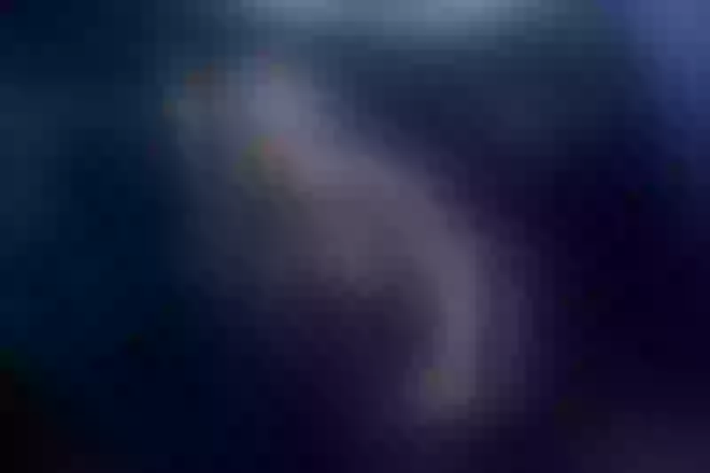Live sex webcam photo for MeganSheran #2677009
