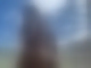 Live sex webcam photo for Elissa21 #7083658
