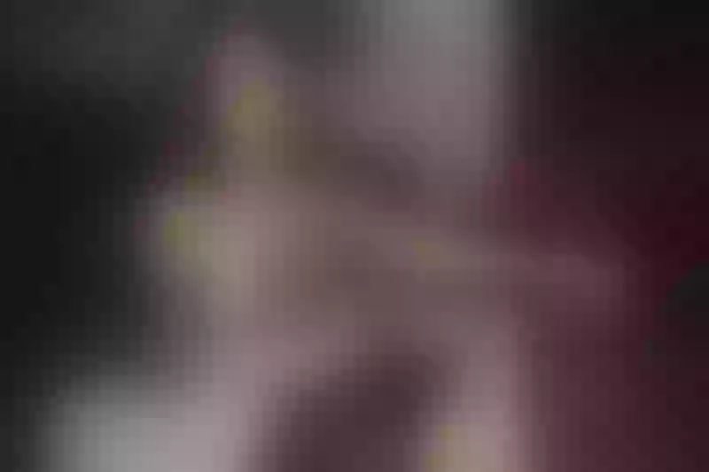 Live sex webcam photo for MaryWhitte #2265652