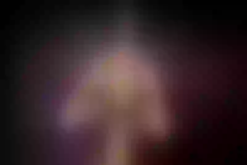 Live sex webcam photo for MelissaHill #2710701