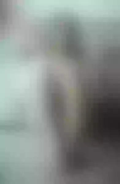 Live sex webcam photo for IsabellaHarley #3563502