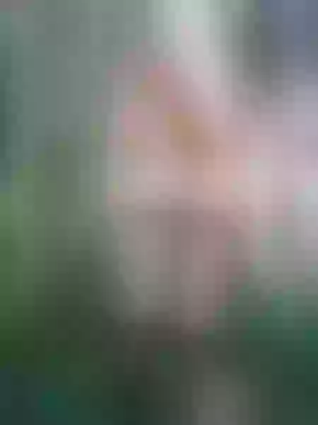 Live sex webcam photo for AlanaaRosee #6052877