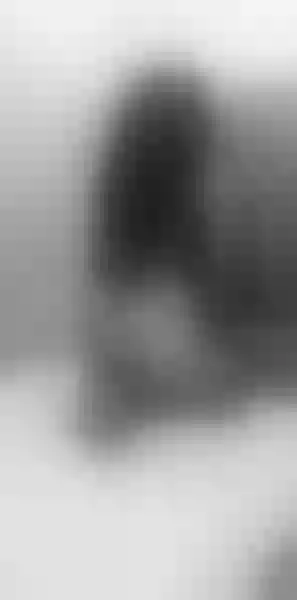 Live sex webcam photo for ConyTaylor #3465893