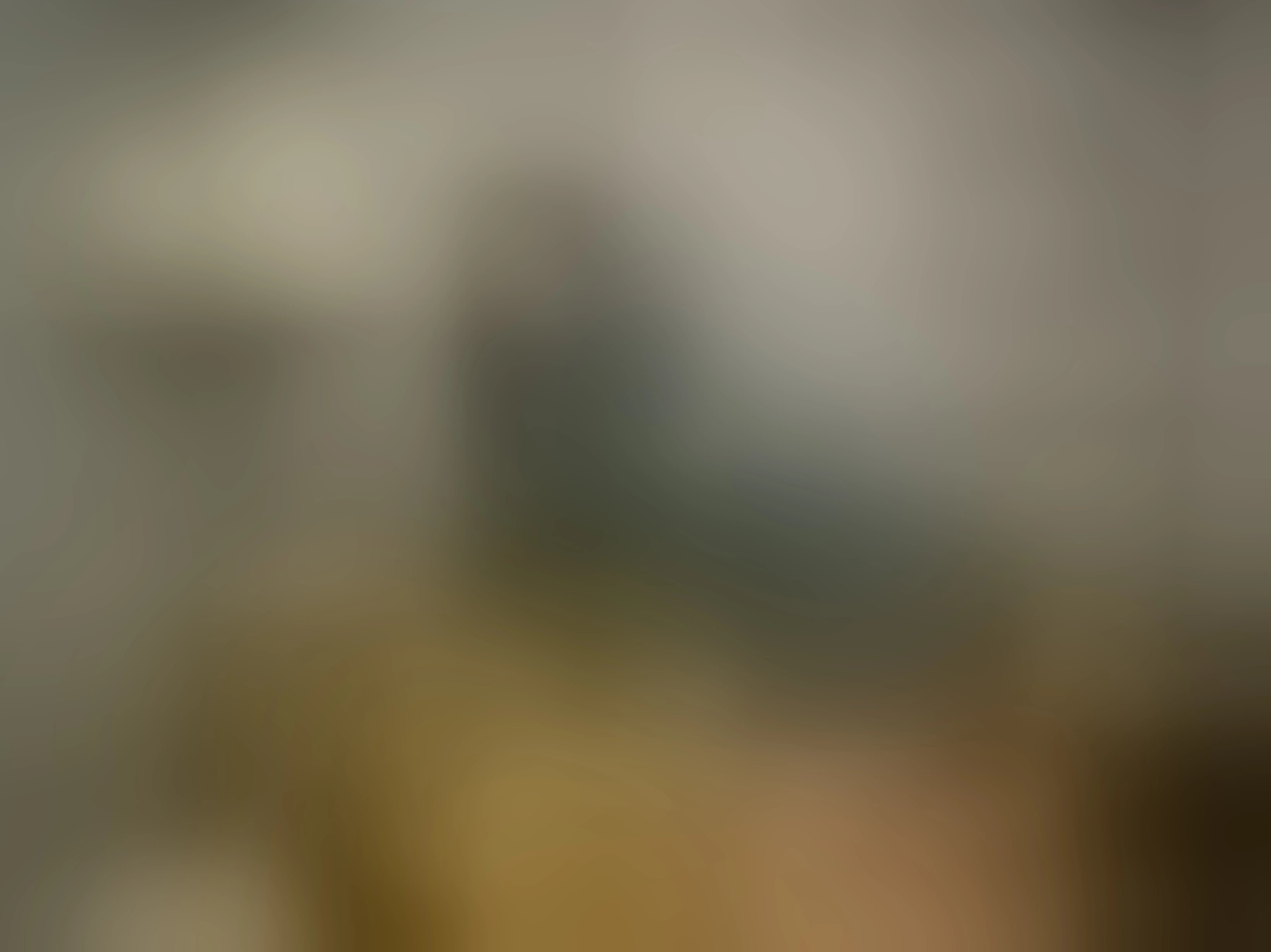 Live sex webcam photo for NicolStone #7393690