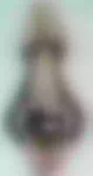 Live sex webcam photo for SashaStart #3163183