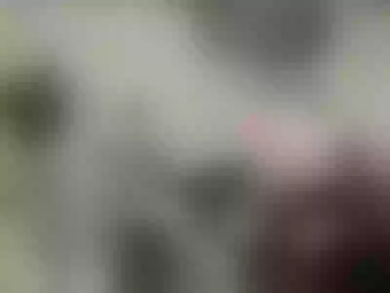 Live sex webcam photo for tiagunn #7428011