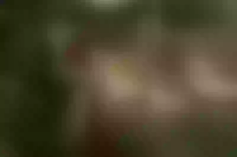 Live sex webcam photo for OrianaNewmann #2873652