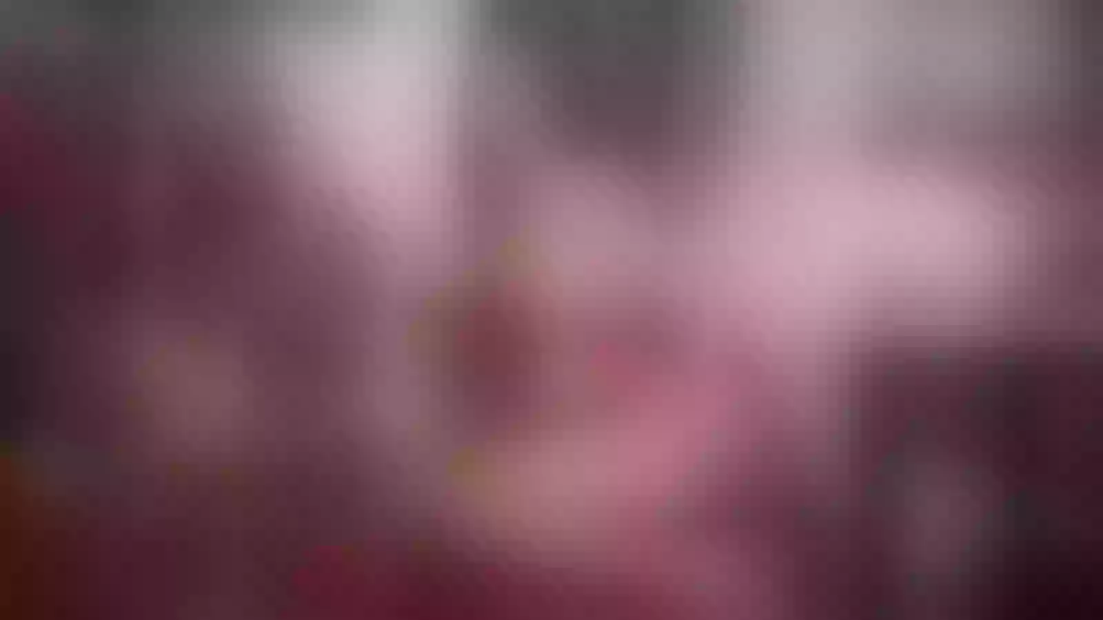 Live sex webcam photo for LaraTaylorr #2766779