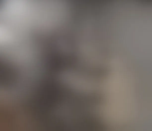 Live sex webcam photo for MadissonRey #7334118