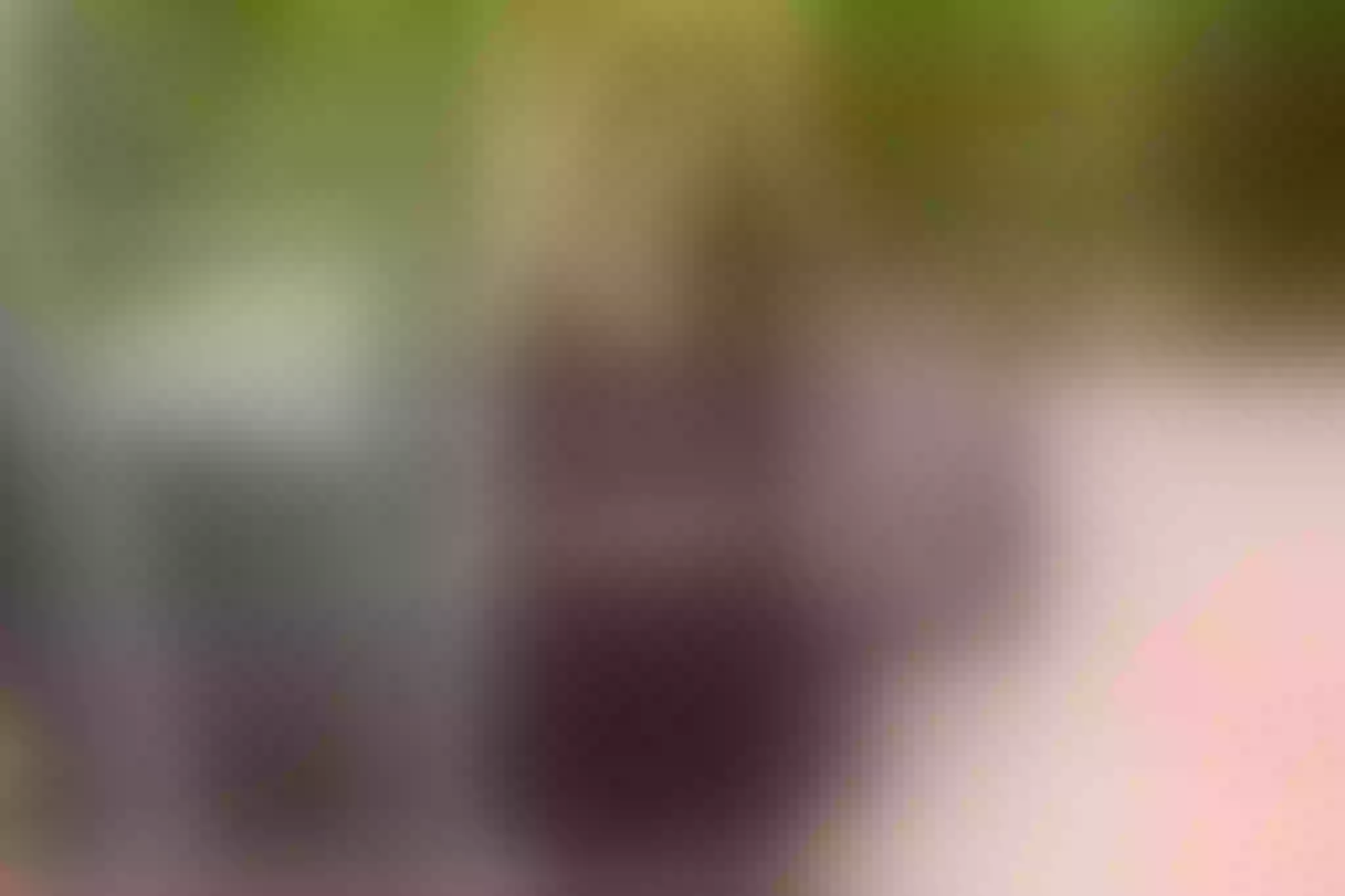 Live sex webcam photo for MadissonRey #7334047