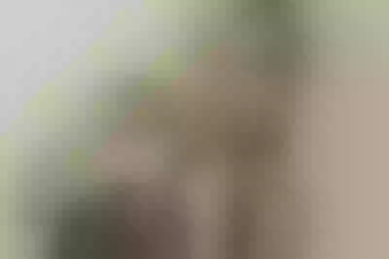 Live sex webcam photo for SexyDione #2386099