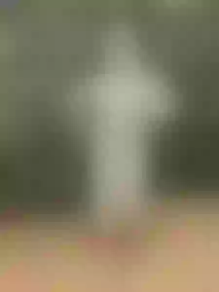 Live sex webcam photo for NaylaHadid #6785779