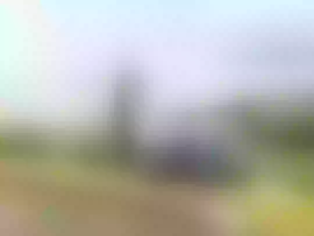 Live sex webcam photo for KendalRouss #2712470