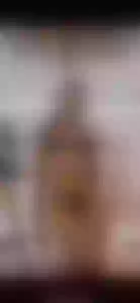 Live sex webcam photo for MilaHill #2844648