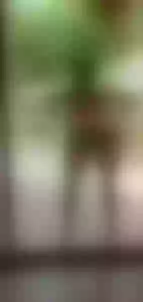 Live sex webcam photo for PammelaParker #3732976