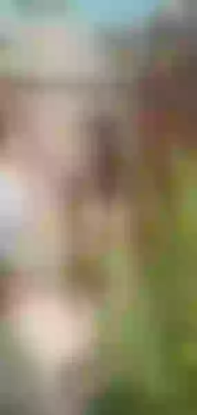 Live sex webcam photo for PammelaParker #3486999