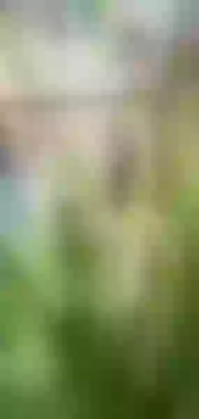 Live sex webcam photo for PammelaParker #3486997