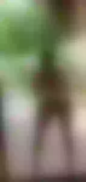 Live sex webcam photo for PammelaParker #3732974