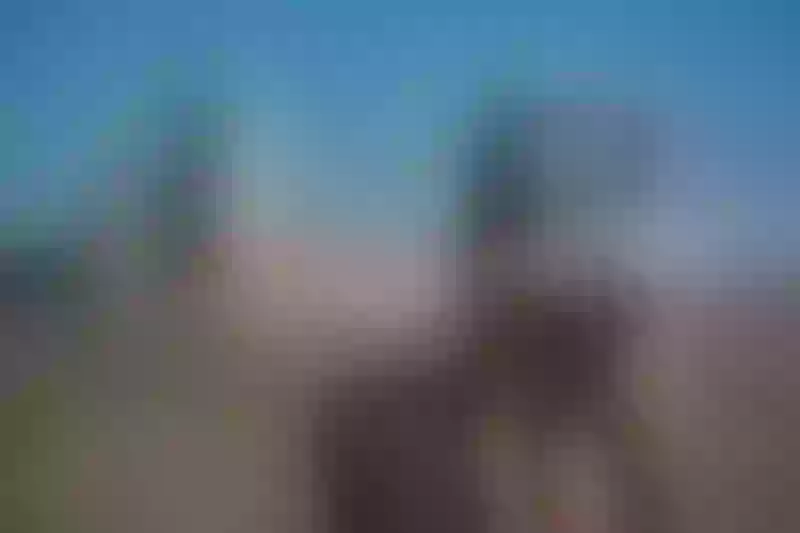 Live sex webcam photo for SoniaDevine #2402638