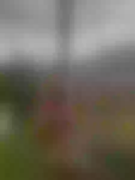 Live sex webcam photo for ArianaDiosa #7836503