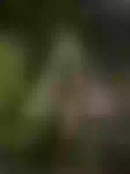 Live sex webcam photo for ArianaDiosa #7836465