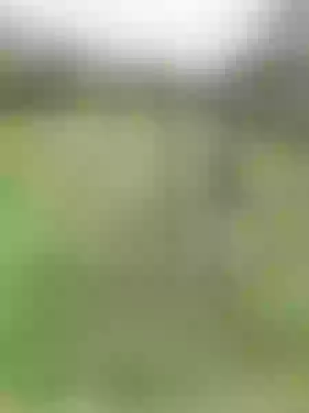 Live sex webcam photo for ArianaDiosa #7836472