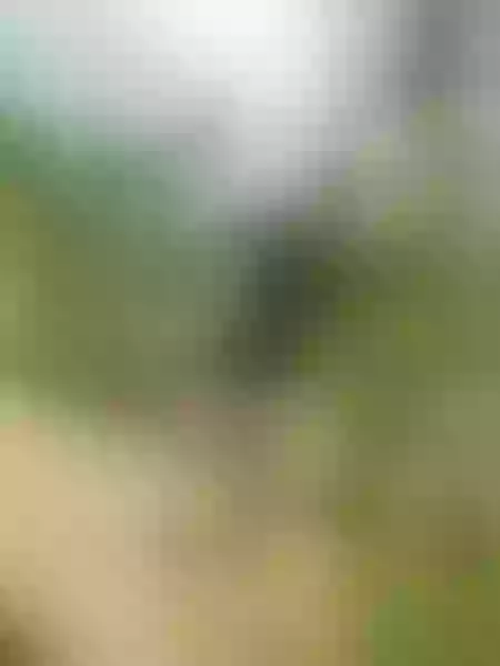 Live sex webcam photo for ArianaDiosa #7836469