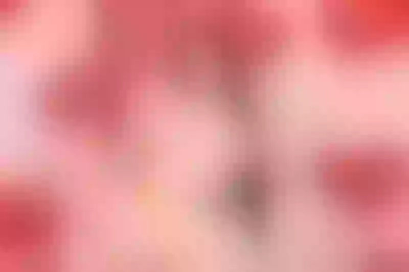 Live sex webcam photo for PenelopeBlunt #3004543