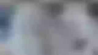 Live sex webcam photo for NinaLisboahh #5487906