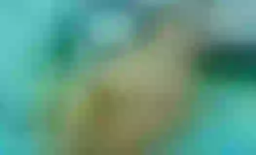 Live sex webcam photo for NinaLisboahh #5512512